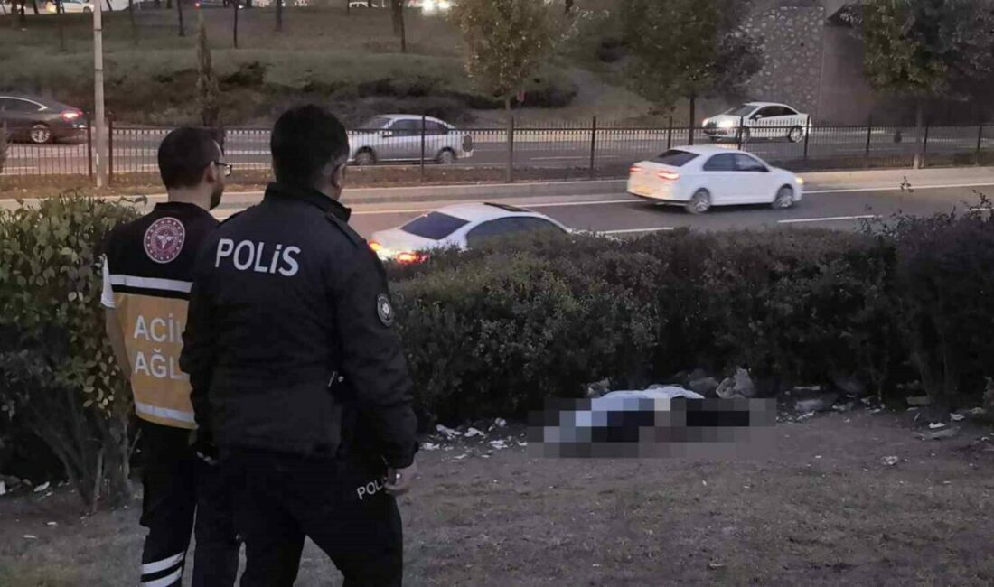 Bursa’nın İnegöl ilçesinde köprülü kavşaktaki yeşil alanda erkek cesedi bulundu.