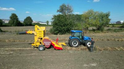İnegöl’ün tescilli değeri Cerrah Kuru Fasulyesinde hasat başladı. Yaklaşık 800