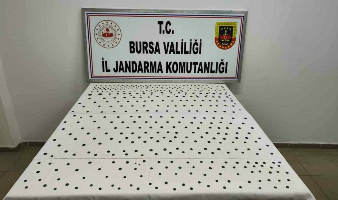 Jandarma’dan İznik’te tarihi operasyon Bursa İl Jandarma İstihbarat ve İznik İlçe Jandarma Komutanlığı ekipleri