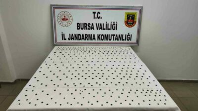 Bursa İl Jandarma İstihbarat ve İznik İlçe Jandarma Komutanlığı ekipleri