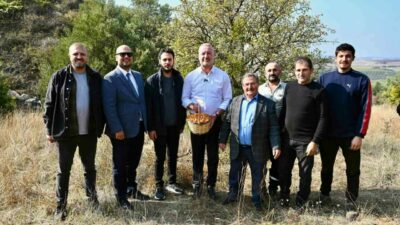 Karacabey Belediyesi, Yeşildere Mahallesi’nin doğal zenginliklerinden biri olan ‘Alıç Meyvesi’ni