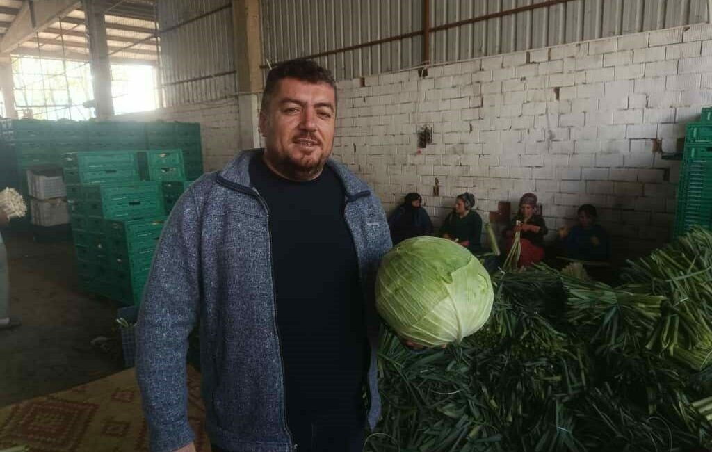 Kışlık ürünlerde hasat başladı Yazlık ürünlerde sezonun sona ermesiyle gözler kışlık ürünlere döndü. Kışlık