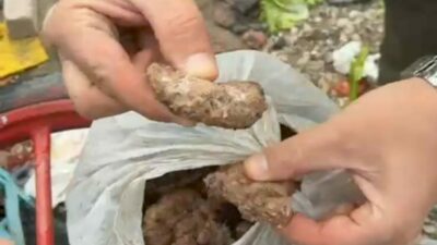 Bursaspor ile Menemen FK arasında oynanan karşılaşma öncesinde, Bursaspor Stadyumu