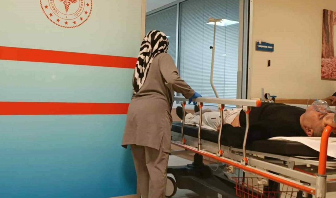 Mantar yedi hastanelik oldu Bursa’nın İnegöl ilçesinde yediği mantardan zehirlenen bir kişi hastaneye kaldırıldı.