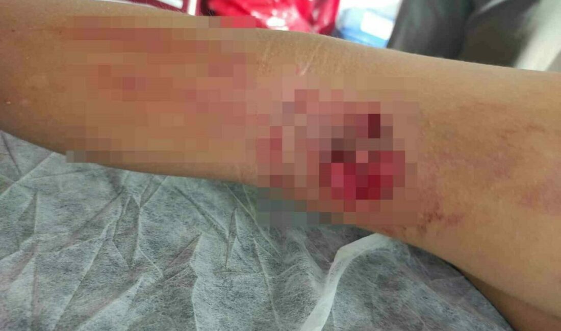 Orhangazi’ye bağlı Yeni Sölöz Mahallesi’nde sabah okula gitmek için evden