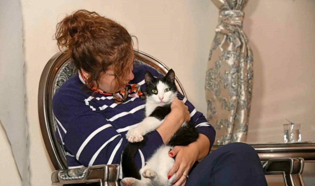 Osmangazi’den kolektif okuma etkinliği Osmangazi Belediyesi’nin okuma kültürünü yaygınlaştırmak ve kültürel birlikteliği artırmak amacıyla