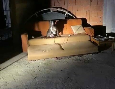 Panik yaşayan mahalle sakinleri konuştu Bursa’nın Mudanya ilçesinde denetimli serbestlikten yararlanarak cezaevinden çıktıktan sonra kaldığı