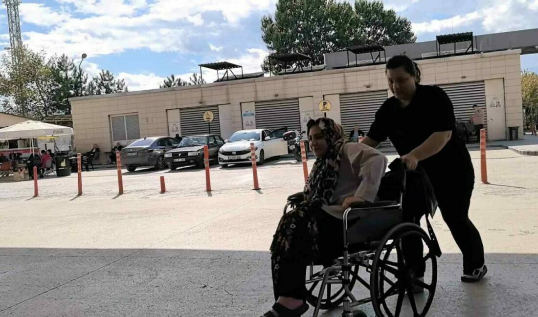 Bursa’nın İnegöl ilçesinde hobi bahçesinde piknik yaparken yılanın ısırdığı kadın