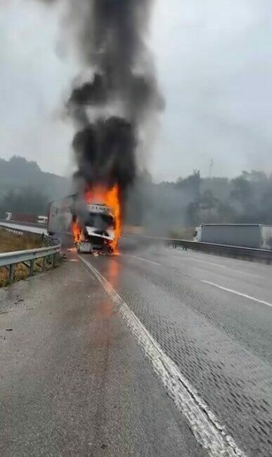 Bursa-Yalova yolunda bir tır seyir halindeyken alev aldı. Çıkan yangın,