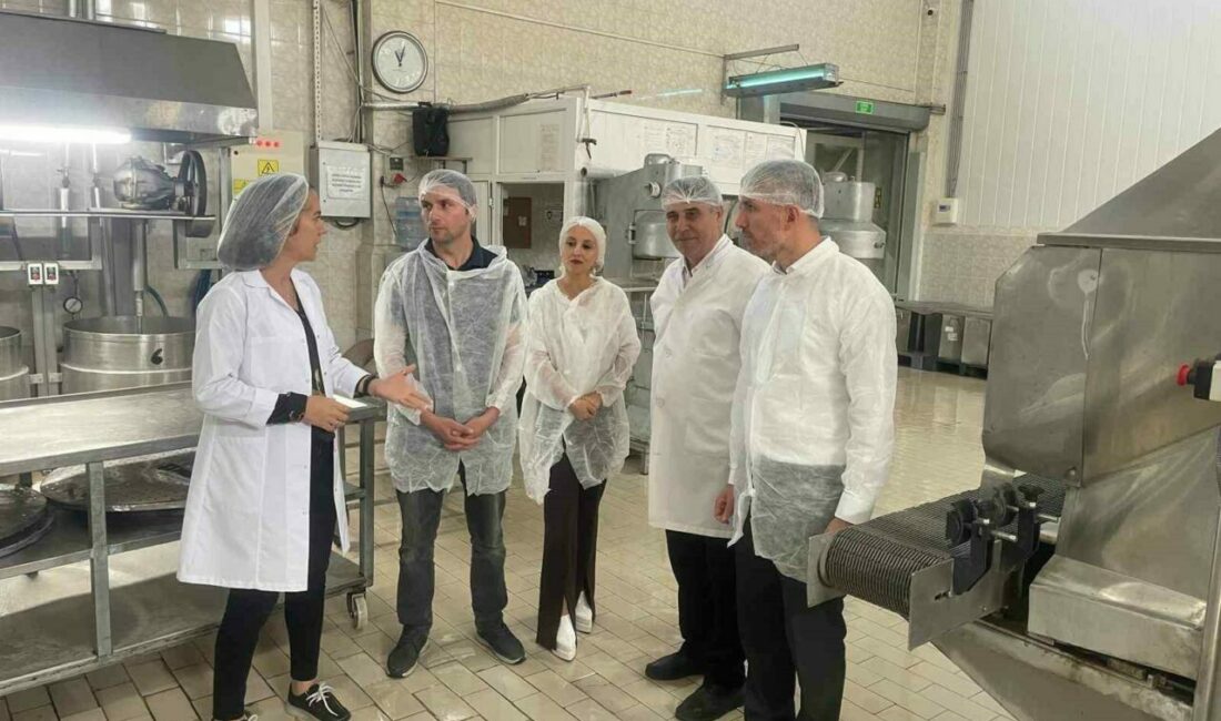 Tarım ve Kırsal Kalkınmayı Destekleme Kurumu (TKDK) Bursa İl Koordinatörlüğü,