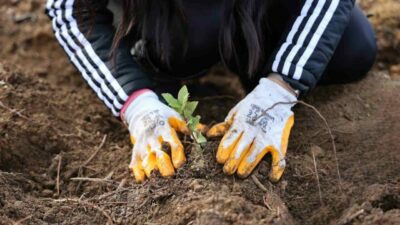 Enerji sektöründe dijitalleşme alanındaki yatırımlarıyla dikkat çeken Uludağ Elektrik, elektronik
