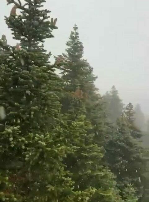 Havaların aniden soğumasıyla birlikte, Uludağ’da kar yağışı etkili oldu. Bursa’da