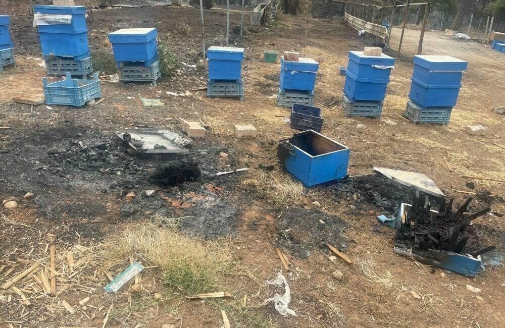 Bursa Büyükşehir Belediyesi, kentin arıcılık sektörünü desteklemek ve özellikle yangın