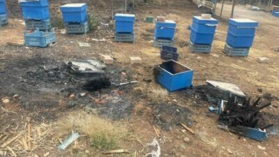 Bursa Büyükşehir Belediyesi, kentin arıcılık sektörünü desteklemek ve özellikle yangın