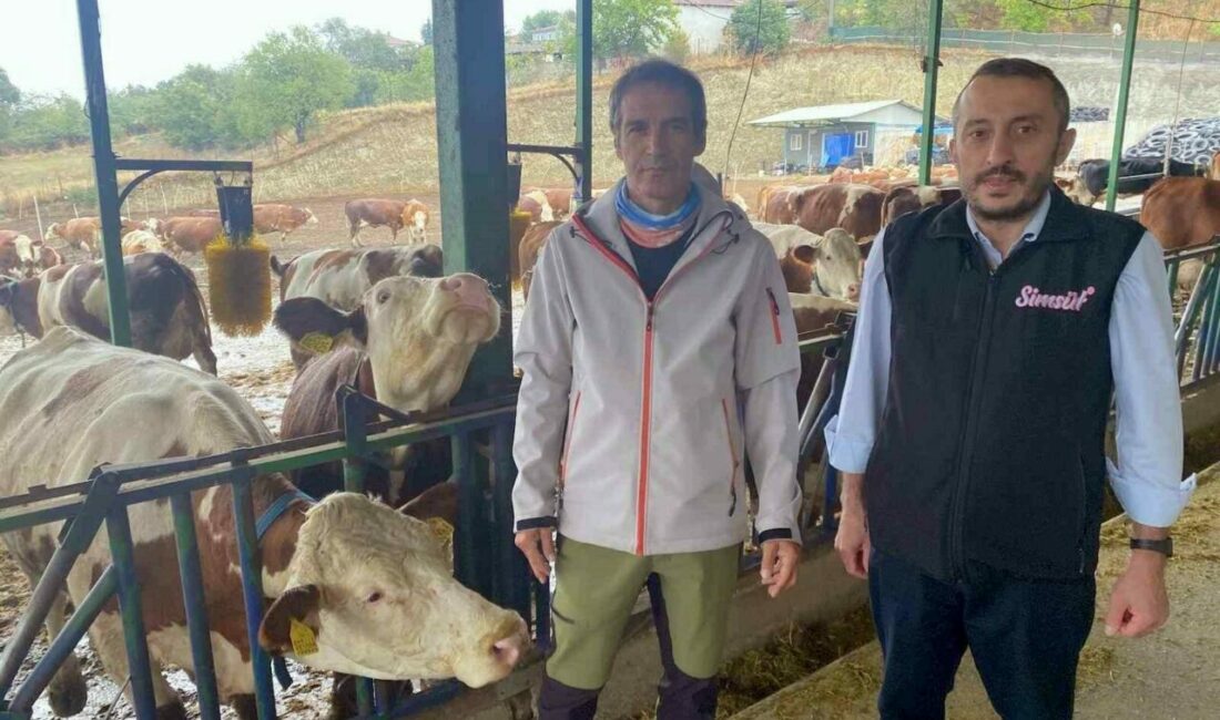 Marmara Bölgesi’nde ilk kez Bursa’nın Yenişehir ilçesinde bir süt sağım