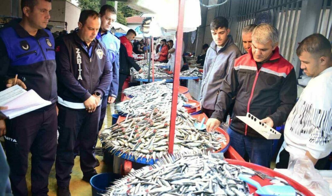 Bursa’nın Yenişehir ilçesinde zabıtalar Balık Pazarı’nı denetledi. Belediye Başkanı Ercan