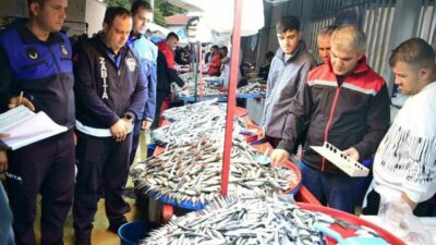 Bursa’nın Yenişehir ilçesinde zabıtalar Balık Pazarı’nı denetledi. Belediye Başkanı Ercan