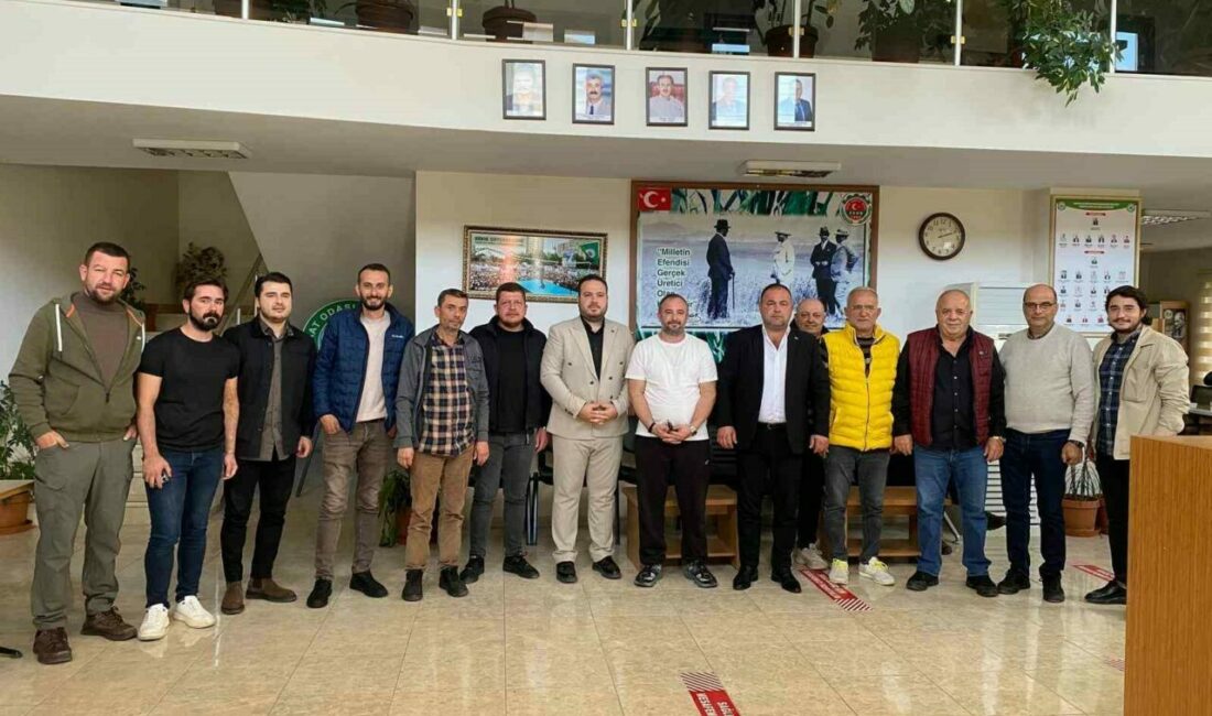 Zeytinin kilogram maliyeti açıklandı Zeytinde hasat mevsimi öncesinde bir araya gelen Orhangazi, İznik, Nilüfer,