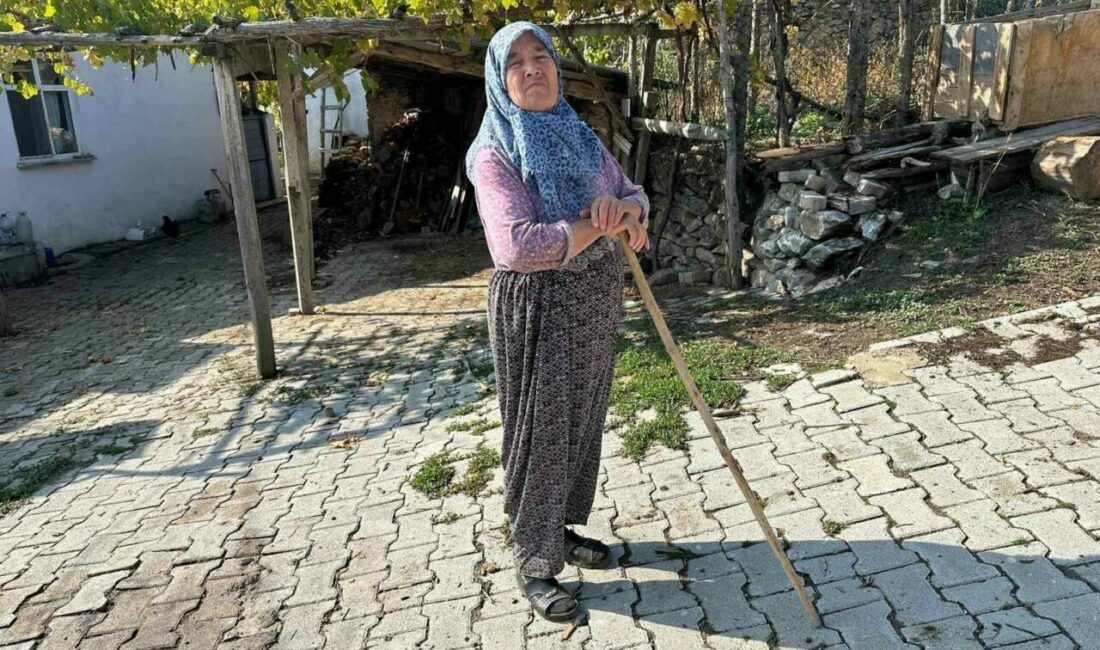 450 yıllık köy hayalet köye dönüştü…Köyde sadece 4 kişi yaşıyor Bursa’nın Büyükorhan ilçesine bağlı yaklaşık 450 yıllık bir geçmişi bulunan