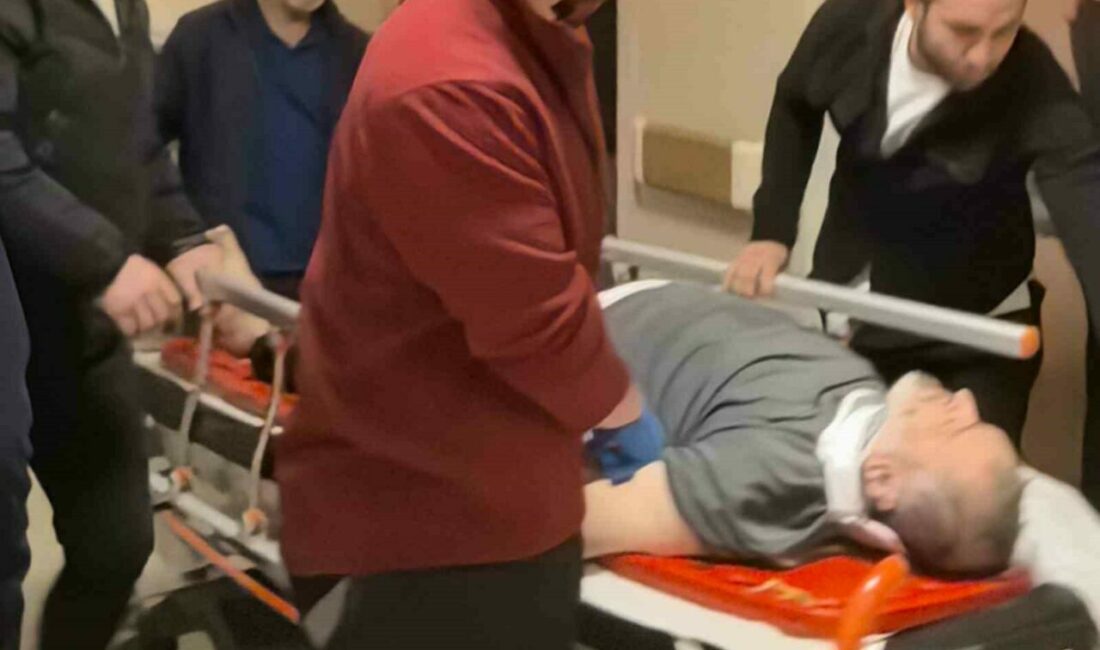 Ağaca çıkmak isterken düşen adam ağır yaralandı Bursa’nın İnegöl ilçesinde, kiraz ağacına dayadığı merdivenden düşen adam ağır