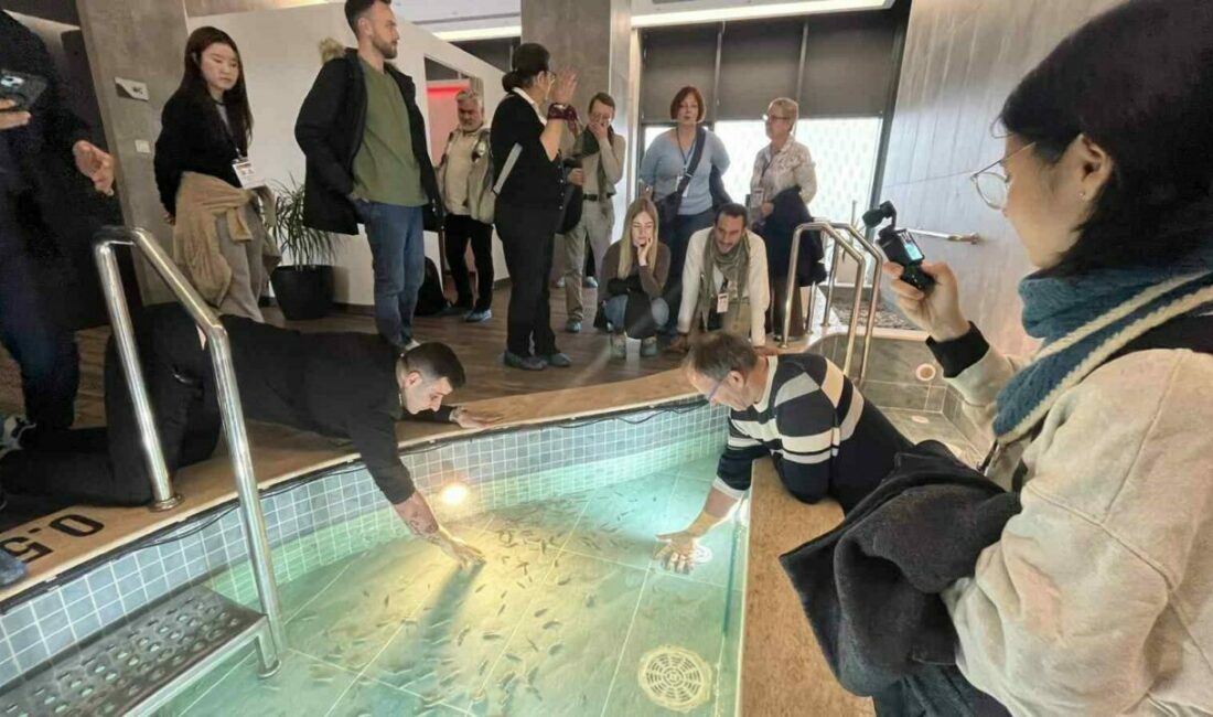 Dünyada sağlık turizminin önemi giderek artarken, yeşili ve termalin medikal