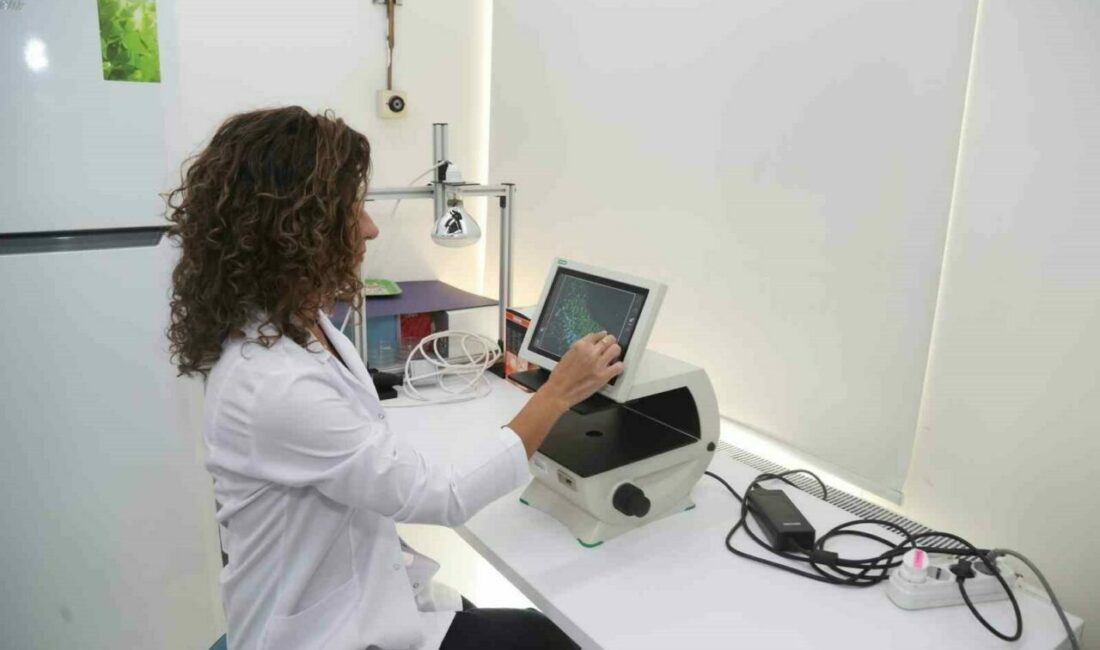 Bursa Teknik Üniversitesi bilim insanları, aft tedavisine yeni bir alternatif