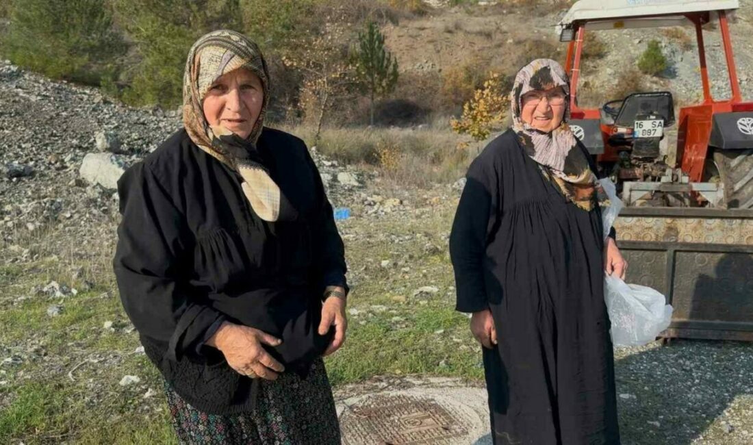 Bursa’da iki yaşlı kadın gençlere taş çıkartıyor Bursa’da 70 yaşlarında iki kadın, sabah erken saatlerde çıktıkları ormanlık
