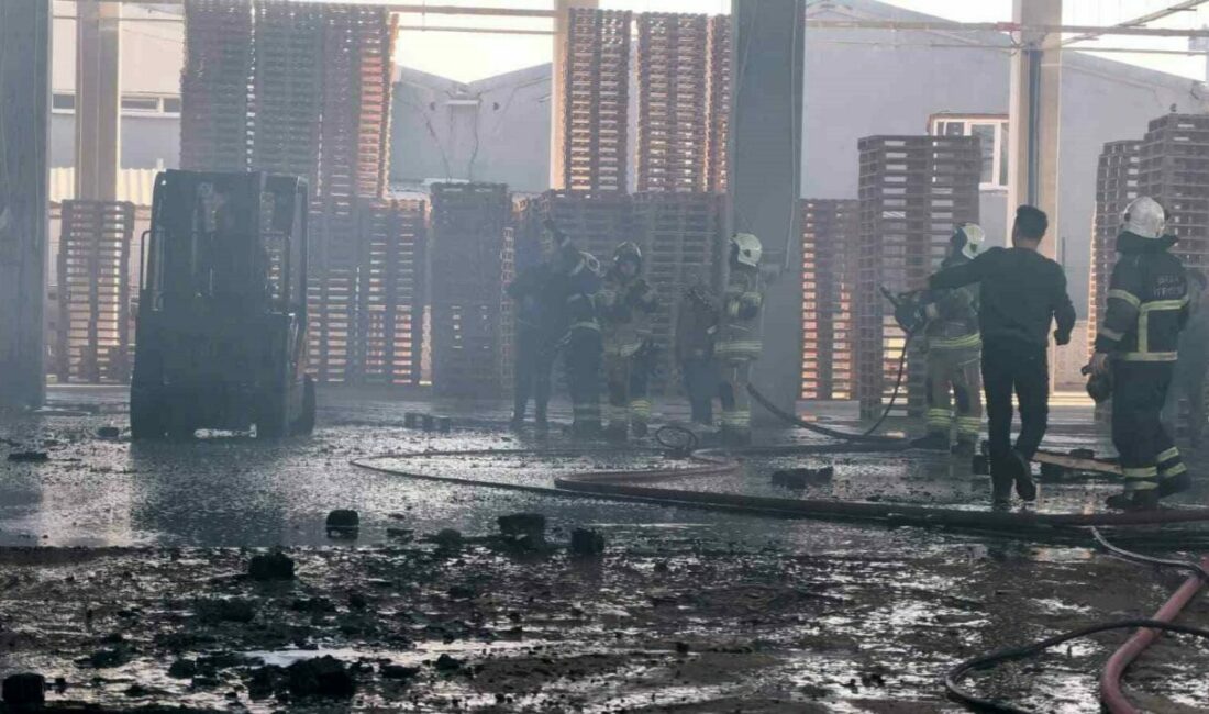 Bursa’da palet fabrikası alevlere teslim oldu Bursa’nın İnegöl ilçesinde faaliyet gösteren palet fabrikasında yangın çıktı. Yangın