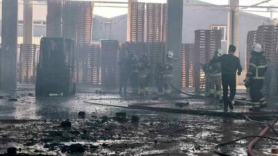 Bursa’nın İnegöl ilçesinde faaliyet gösteren palet fabrikasında yangın çıktı. Yangın