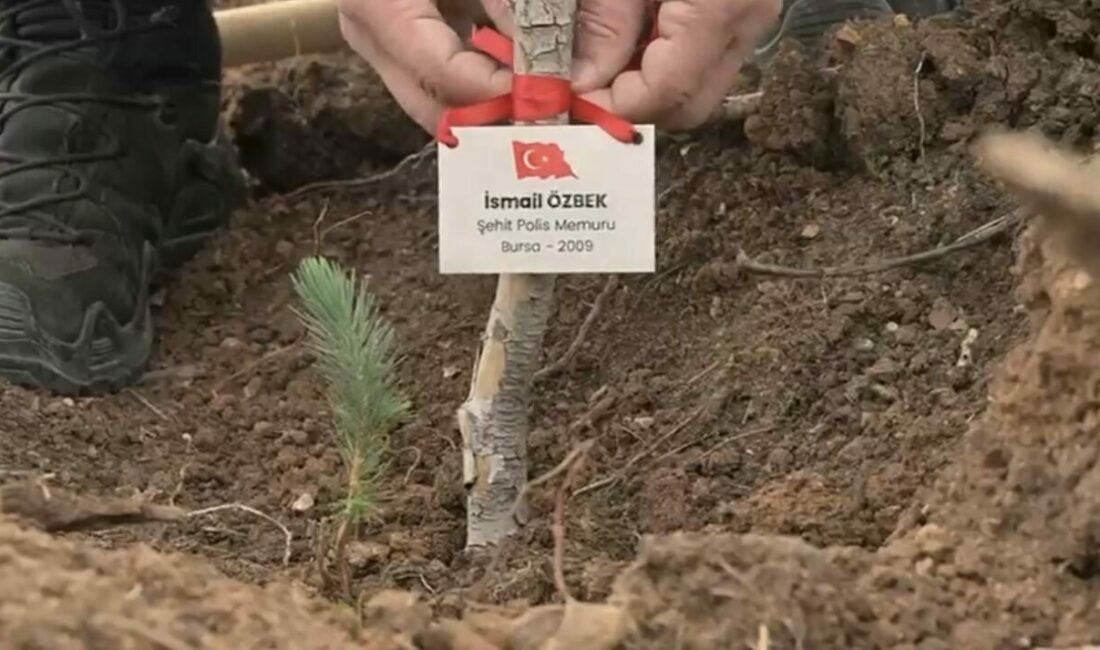 Bursa Emniyet Müdürlüğü, “Şehitlerimiz İçin Her Bir Fidan, Geleceğimiz İçin