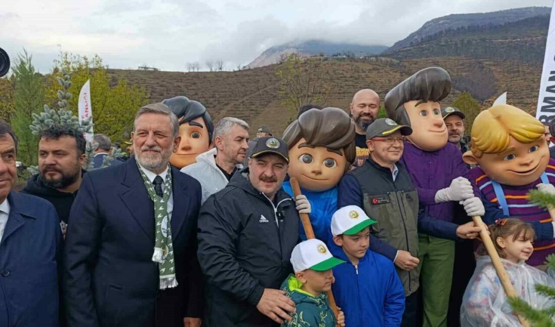 Bursa’da geçtiğimiz yaz meydana gelen orman yangınında zarar gören alanlar