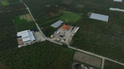 Bursa Büyükşehir Belediyesi, çiftçiyi destekleyerek üretimi artırmak ve bölgeye gelen