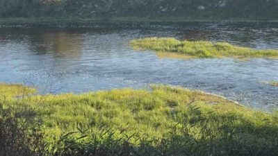 Bursa’da 5 çocuğun dere kenarında top oynadığı sırada meydana gelen