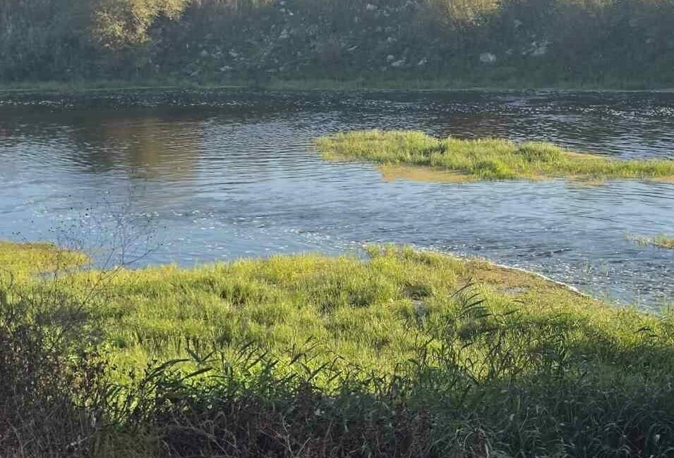 Bursa’da 5 çocuğun dere kenarında top oynadığı sırada meydana gelen