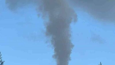 Gıda, yem ve endüstriyel ürünler üzerine faaliyet gösteren ABD’li Cargill