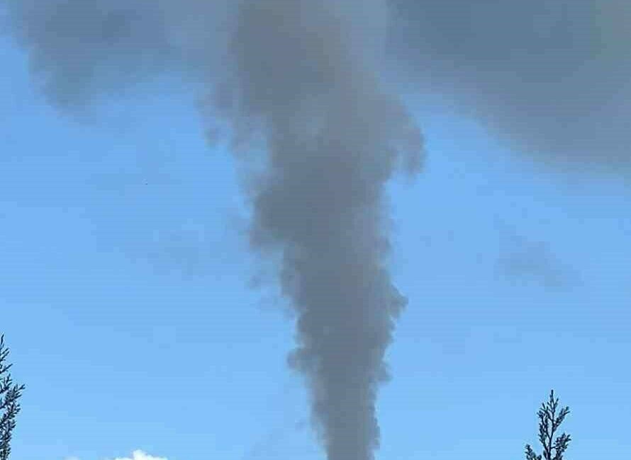 Gıda, yem ve endüstriyel ürünler üzerine faaliyet gösteren ABD’li Cargill