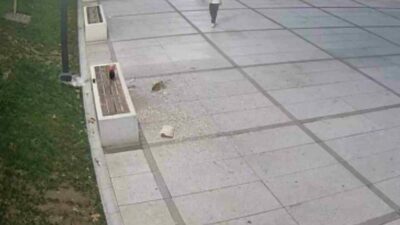 İnegöl Belediyesi, kamusal alanda çekirdek yiyerek çöplerini yere atan kişileri