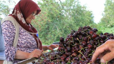 Dondurulmuş gıdada büyük bir potansiyele sahip Türkiye, yurt dışında birçok