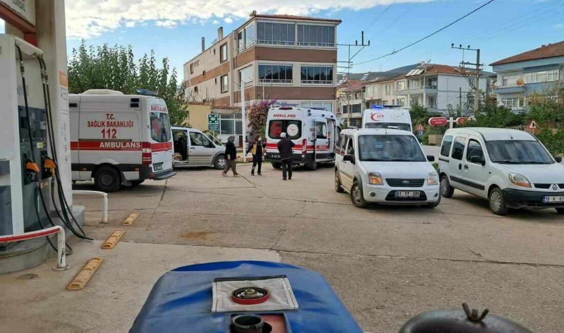 Bursa’nın İznik ilçesi Boyalıca Mahallesi’nde zeytin toplamak için çalışan 8