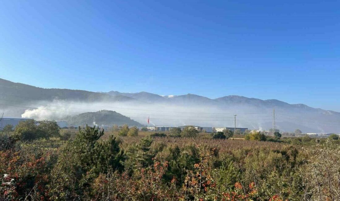 Kestel ve Gürsu’da çevre faciası: “Filtreler çalıştırılmıyor, Bursalıların sağlığı hiçe sayılıyor” iddiası Bursa’da Kestel ve Gürsu hattında sanayi tesislerinden yükselen yoğun duman,