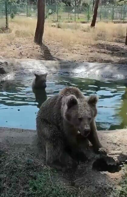 Bursa Ovakorusu Celal Acar Yaban Hayvanı Kurtarma ve Rehabilitasyon Merkezi’nin