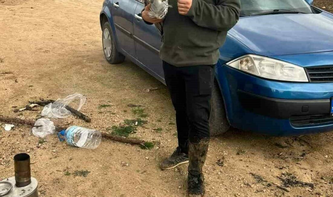 Bursa’nın İnegöl ilçesinde doğa gezisine çıkan 2 genç, ağaçta misinaya