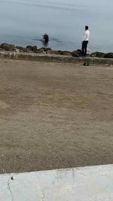 Bursa’nın Mudanya ilçesi Güzelyalı sahilinde oltaların misina ve kancalarına takılarak