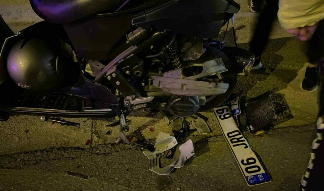 Bursa’nın Mudanya ilçesi Güzelyalı Mahallesi Kestirme Yolu üzerinde akşam saatlerinde