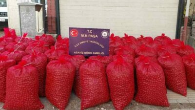 Bursa’da Mustafakemalpaşa İlçe Emniyet Müdürlüğü ekiplerince yürütülen çalışmalar sonucunda, Balıkesir’in