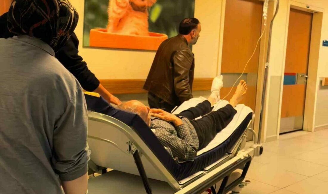 Bursa’nın İnegöl ilçesinde odun keserken motorlu testere ile ayağını kesen