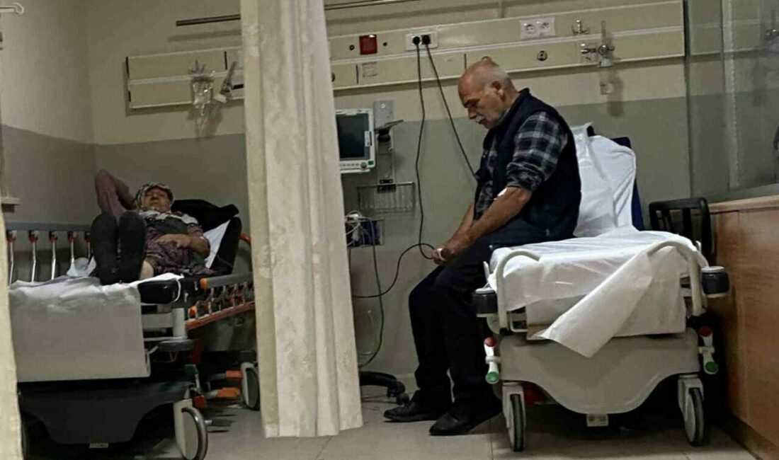 Bursa’dan İnegöl ilçesinde ormandan topladıkları mantarları yemek yapıp yiyen 7