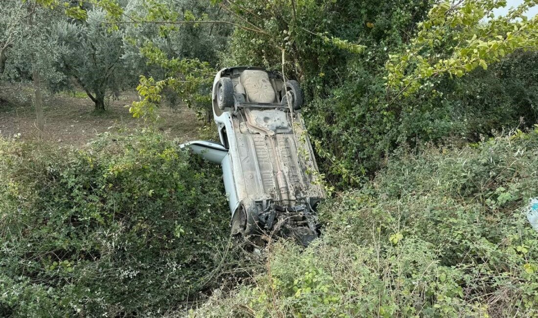 Sollama yaparken zeytinliğe uçtu Bursa’nın İznik ilçesinde sollama yapmak isteyen otomobil sürücüsü, direksiyon hakimiyetini