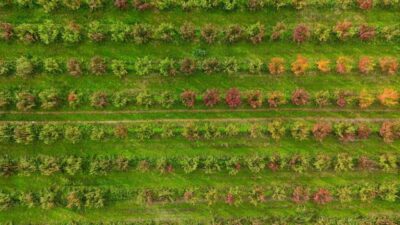 Uludağ’ın eteklerinde sonbaharın gelişiyle birlikte doğa mest edici bir tabloya