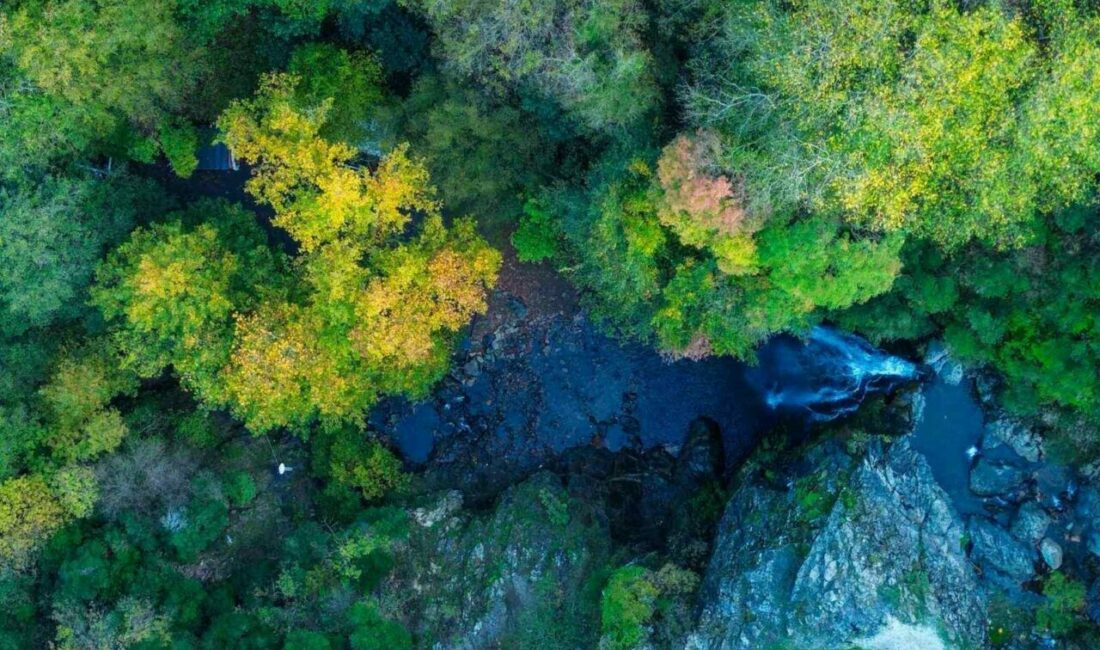 Gemlik’e bağlı Haydariye köyünde yer alan Sudüşen Şelalesi, kasım ayının